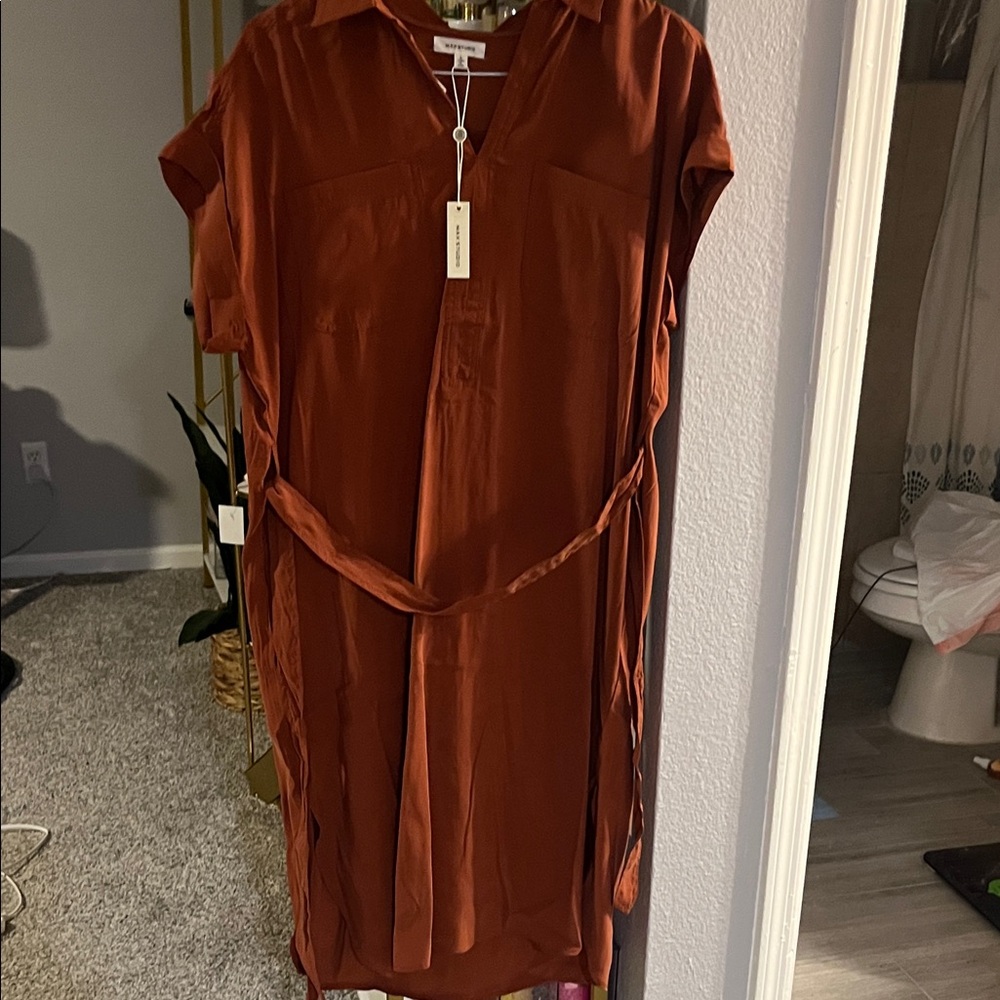 Max Studio Rust Dress - Picture 2 of 2